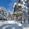 Apartments Vila Velickovic