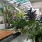 Flower Home ផ្ទះសំណាក់ ហូមផ្កា