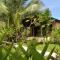 Casas Pelicano
