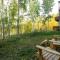 Ski in Ski out Village Creek condo in the Mountain Village Core - 特柳赖德