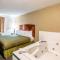 Econo Lodge Inn & Suites - Auburn