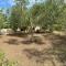 Domo Anghèleda - Detached with large garden in a relaxing environment, a few minutes from the sea