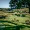 Rosewood Kauri Cliffs