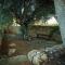 Amaryllis Holiday Home