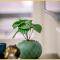 Studio I Mountain I Cluses - 克吕斯