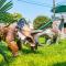 Dino Disneyland: Arcade, Playground & More!!