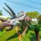 Dino Disneyland: Arcade, Playground & More!! - غاردن غروف