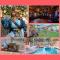 Pirate Cove: Heated Pool, Arcade, Play, More!