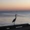 Gulf Breeze Condo w Pool Access! - غولف بريز