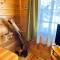 Alpine ski chalet Borovets with sauna