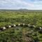 Kuoom Serengeti