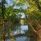 River Cabin Hot Tub & Swim Spa Near Downtown