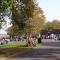 The Blue Boar - Maldon