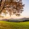 Sauerland Alpin Hotel - Schmallenberg