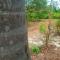 Usumba Lodge