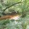 Teign River Retreat