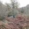 Teign River Retreat