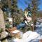 Monterey Log Lair with Pool Table - Slope Views - Big Bear Lake