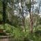 The Fernglen Forest Retreat