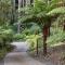 The Fernglen Forest Retreat - Mount Dandenong