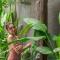 Brand new Luxury 3BR villa Ethnic Ubud #4 - 乌布