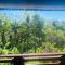 Jungle Villa with Panoramic View - 乌布