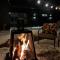 Luxury Mountain Retreat with Spa Near Mont Tremblant