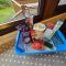 Cosy 2 bedroom Log Cabin in Snowdonia Cabin151 - Trawsfynydd
