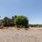 Flame Tree Retreat