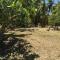 Yawekata Eco Still Bluewater Lodge - Naviti Island