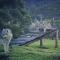 Tsitsikamma Wolf Sanctuary ECO Cabins & Teepees
