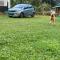 The Green Thumb Farm Stay