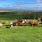 Ewe Retreat Shepherds Hut - Hereford