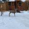 Ute Bluff Lodge, Cabins and RV park - South Fork