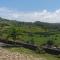 Panoramic Paradise
