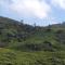 AD Homestay - Munnar