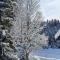 Boutique Hotel Alpenhof - Sankt Martin am Tennengebirge