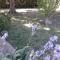 GITE EN PROVENCE
