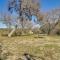 Quiet Bandera Country Home with Medina River Access!