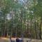 Relaxing Cabin Near Raysville
