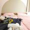 Ixora Coliving Lifestyle Homestay
