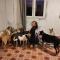 Cosy nest in animal rescue Monte dos Vagabundos