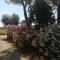 Podere Simonetta - A10 - Cecina