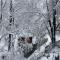 Bonvillas Riverside Apartments - Large Terrace With Forest View - Brezovica