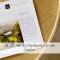 Hochwertige Alpenchalets Allgäu - 阿尔高内的伊门施塔特