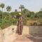 Chez Fatou et Saladin