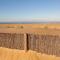 Atlantic Selection - La Parenthèse de Capbreton - Vue océan, plage Notre-Dame - Capbreton