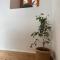 Tafsut dades guesthouse stay with locals