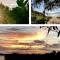Mango Tree Cottage