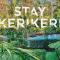 Stay Kerikeri